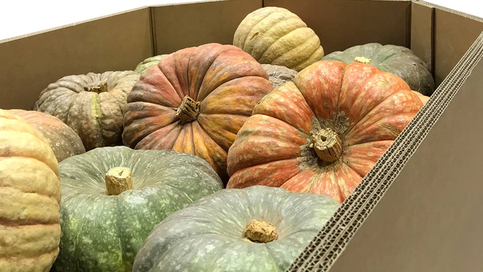 embalaje industrial octogonal soporta hasta 1000kg