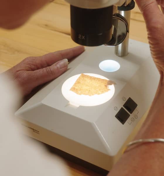 Laboratorie mikroskop