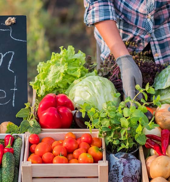 Fødevare marked med frugter og grøntsager