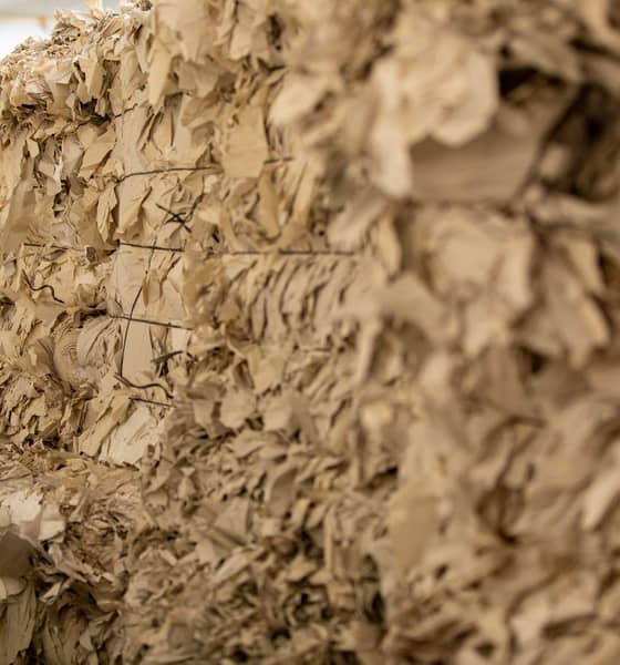 A close up photo of a bale of cardboard