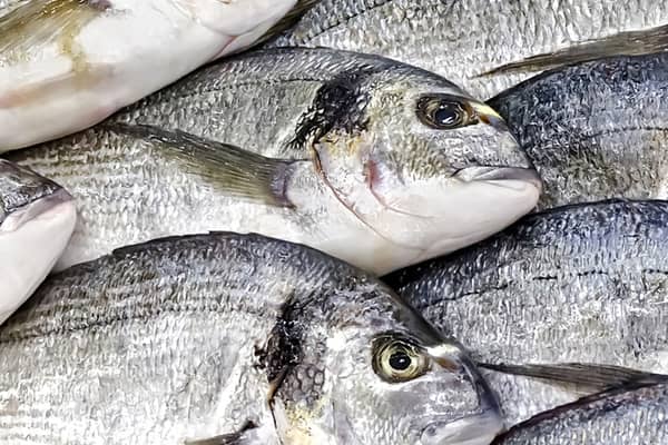 packaging for fresh meat, poultry and fish