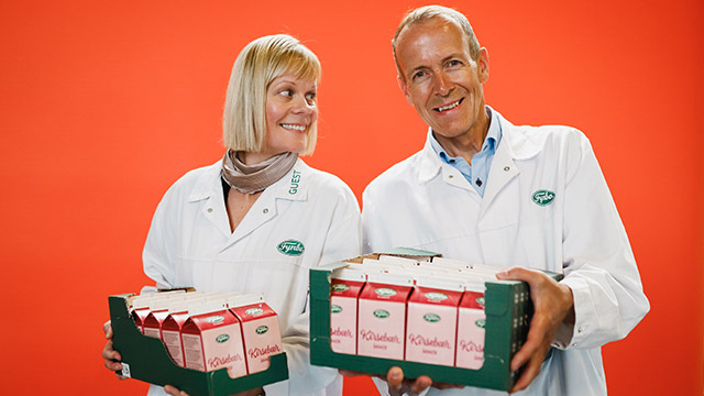 Ny innovativ løsning erstatter plastfolie og flamingo med 100% pap.