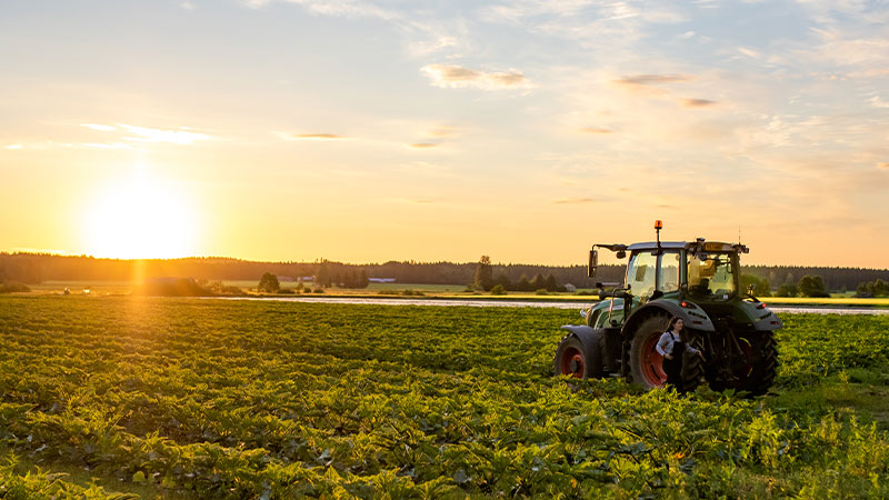 Traktori pellolla kuvaaja Päivi Saarilahti