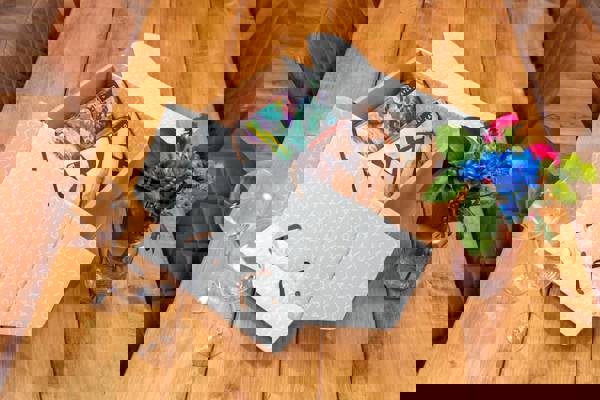 Laylo wine box on a table