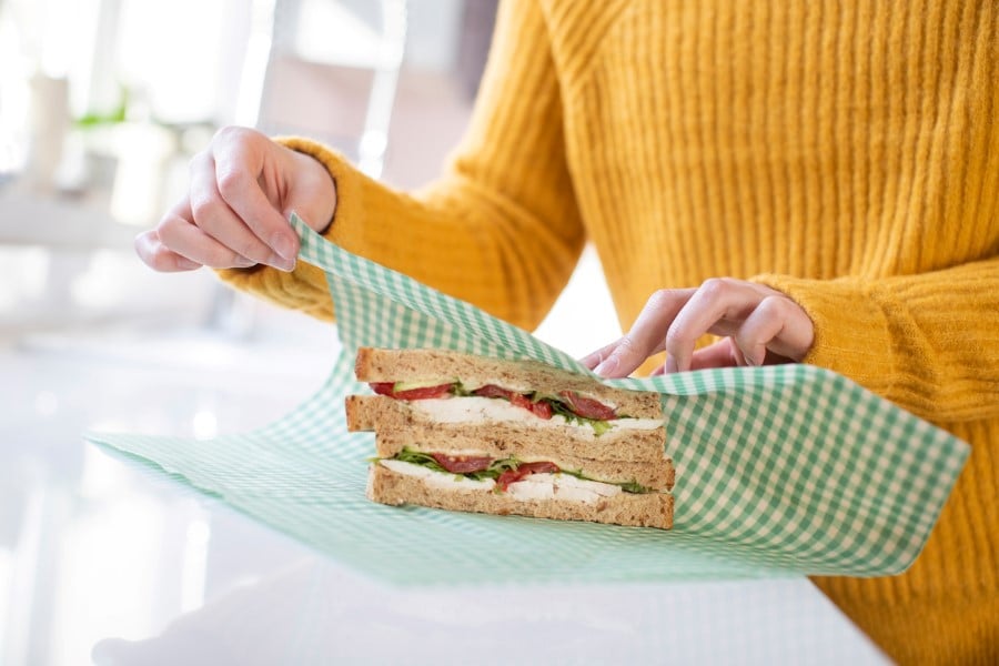 zero-waste-lunch.jpg