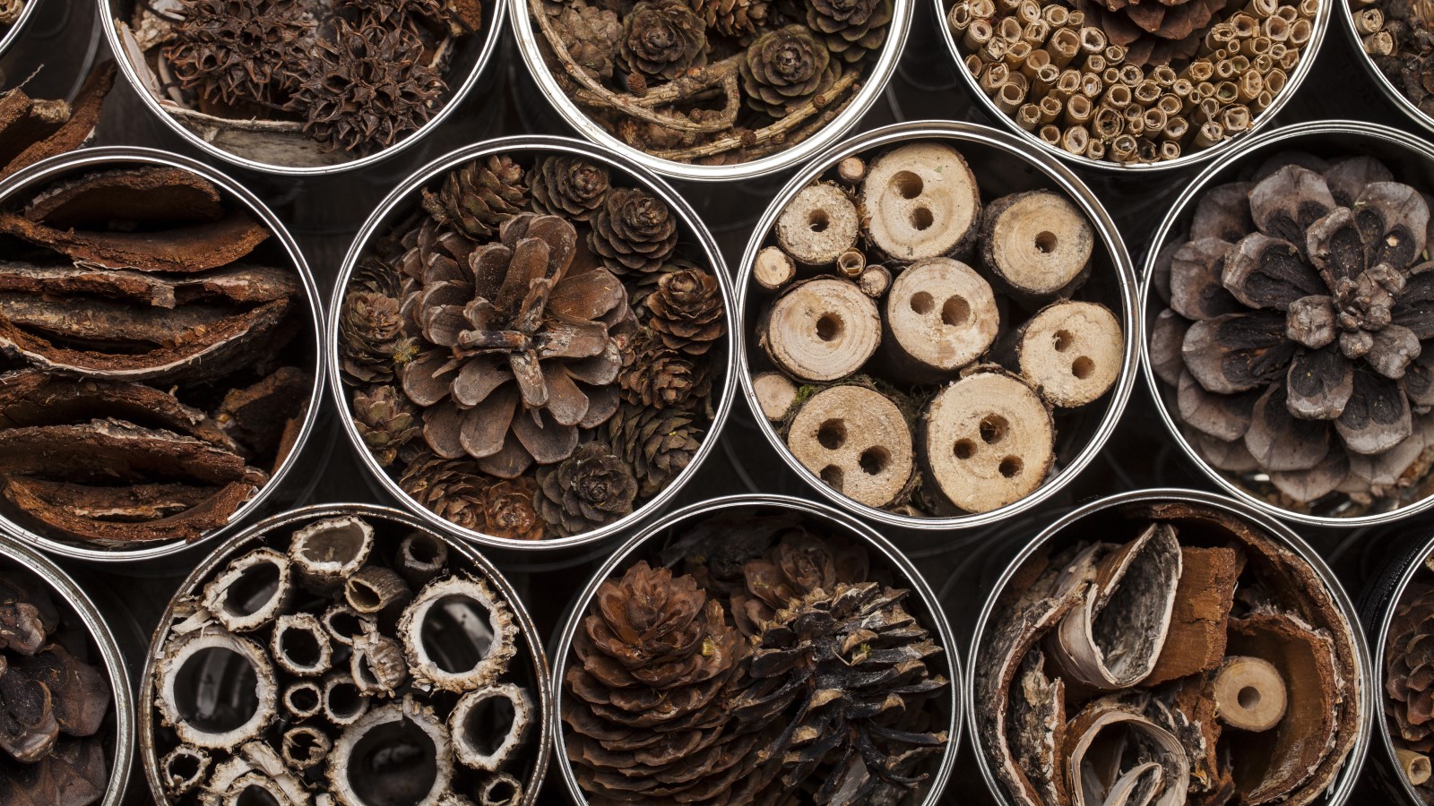 Nahaufnahme eines Insektenhotels.