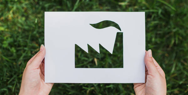 Corrugated packaging, the most environmentally friendly solution