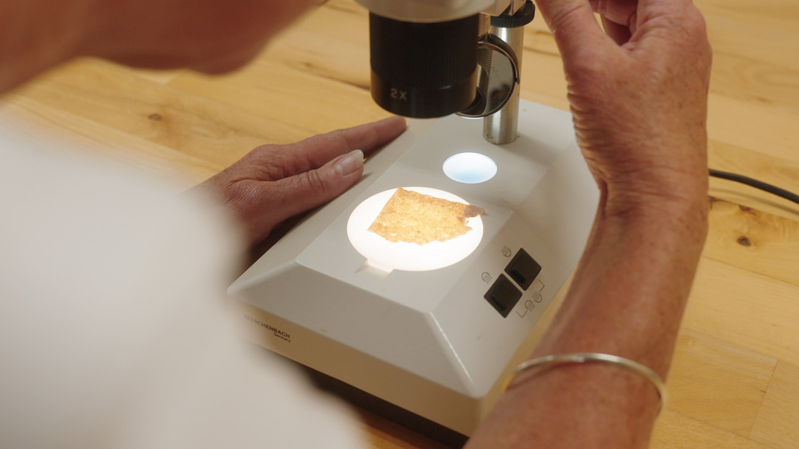 Laboratorie mikroskop