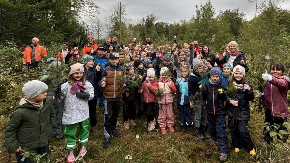 Strahlende Kinder im Wald mit einem Baumsetzling in der Hand