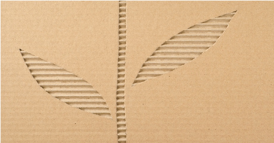 Corrugated Cardboard as sustainable packaging solution
