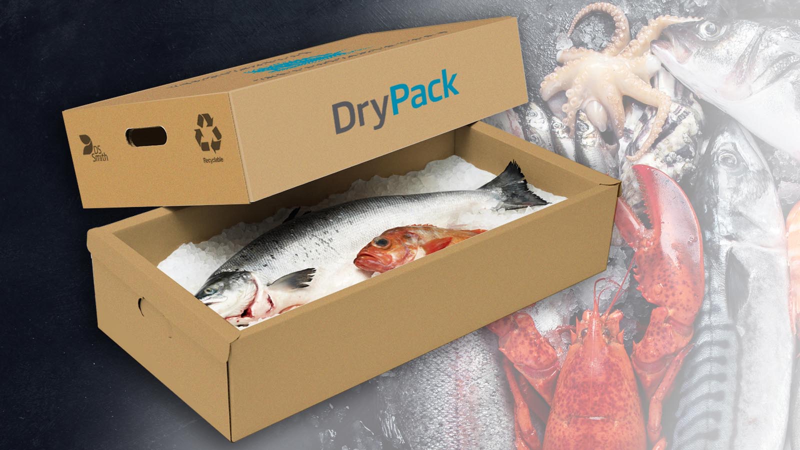 Fødevareemballage - DryPack