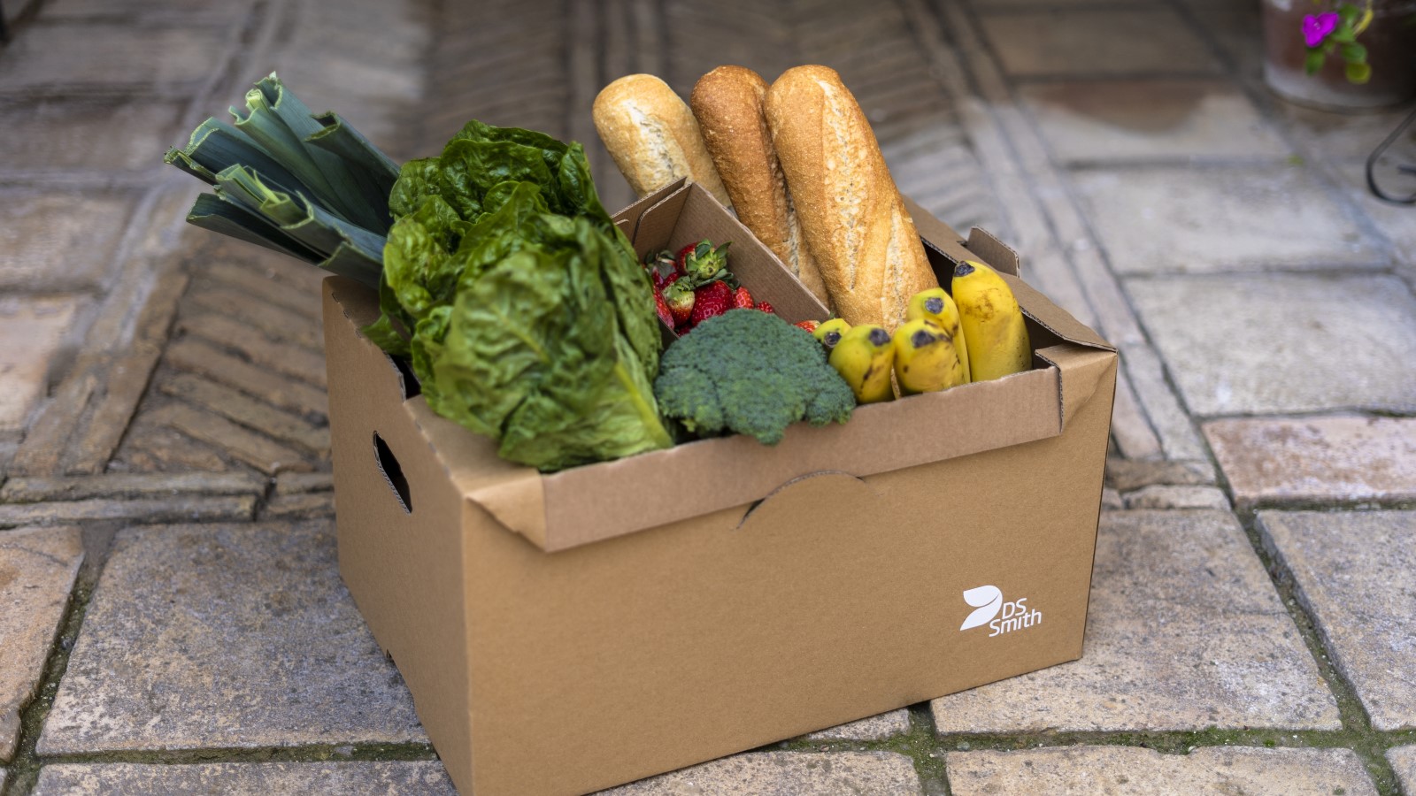 Box aus Wellpappe gefüllt mit frischem Obst und Gemüse.