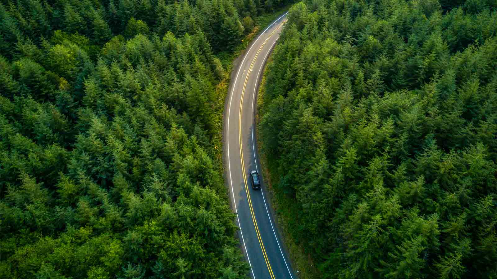 Bæredygtig Display og POS