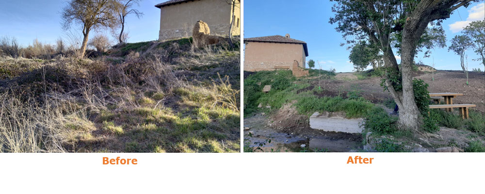 As part of their Biodiversity Programme, our Dueñas Paper Mill in Spain recently supported biodiversity and landscape recovery in the local community through planting trees that are native to the area.