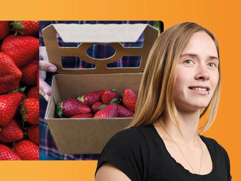 Wellpappschalen für Obst und Gemüse