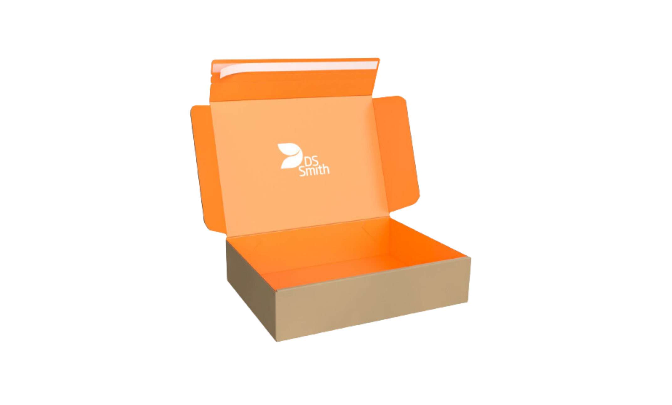 Open DS Smith BesPac box in white background