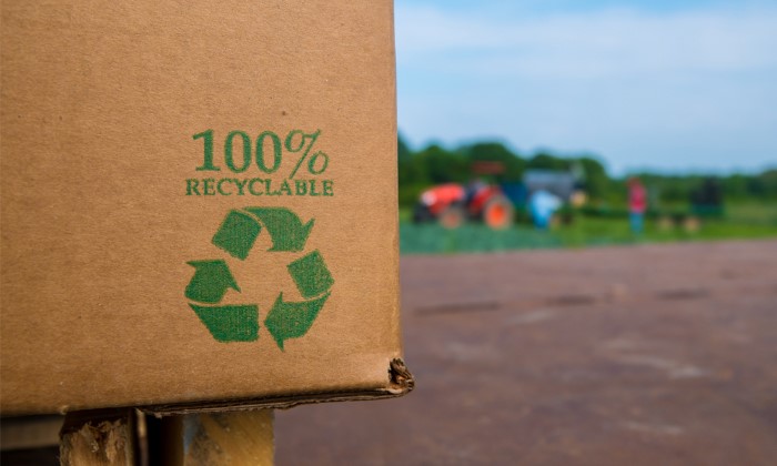 100% recyclable and repulpable boxes