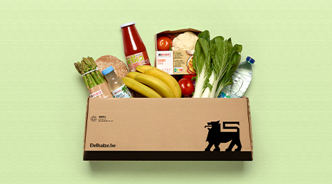 Delhaize boodschappen box van karton op groene achtergrond