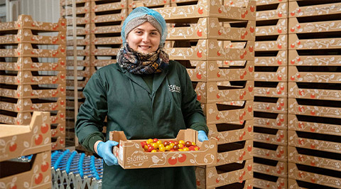 Vrouw met tomatentray in magazijn