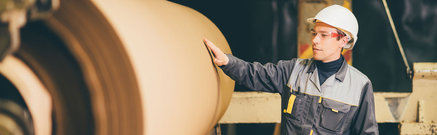 DS Smith Paper Mills